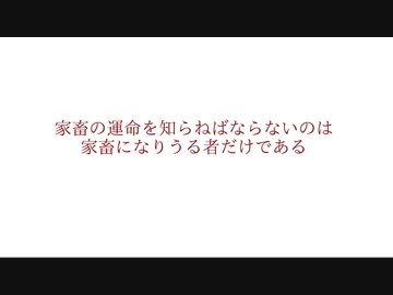 《予告編》【オリジナル曲】新曲・zenith近日公開！！【MALICE BERRY】