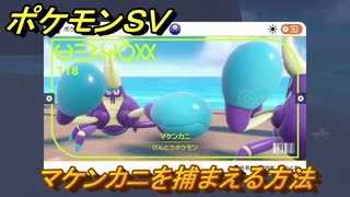 ポケモンＳＶ　マケンカニを捕まえる方法！出現場所は？図鑑No.１１８　ポケモン図鑑を埋めよう！　【スカーレット・バイオレット】