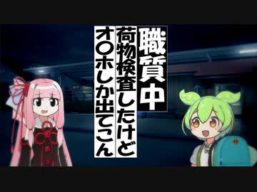 職質中、荷物検査したけどオ〇ホしか出てこんやつ