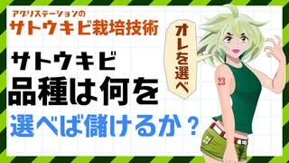 サトウキビの品種は、何を組み合わせて栽培すればいいのか？