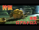 【実況】ぼっちハンターが行く！モンスターハンターXX 第18回