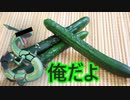 【ミラクル交換・対戦】part2(前編)　あまりにもミラクルすぎるミラクル交換【失踪済み】
