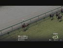 【実況】Winning Post9 2022 ～トワノ一門競走記～ part8