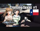 【ATS】トラック女子、米国を駆ける（テキサス周遊・その1）
