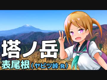 塔ノ岳・表尾根 RTA（リアル登山アタック）