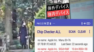 チップチェッカー：若い女性がふらりと墓地に