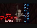 蒼天のマインクラフト　part12