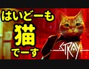 猫ちゃんとサイバーシティの絶妙な世界観！『Stray』実況プレイ part1