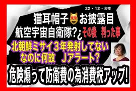 22/12/8夜　政府はどこまで日本人から金をむしり取るつもりだ。