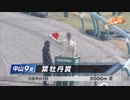 【ウマ娘風】2022/12/03 中山9R 葉牡丹賞 (ビターグラッセ視点)