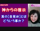 【啓示】真の目覚めとは？覚醒者とは？～生きろ！そして神の花嫁となれ！  #ワクチン #DS #キリスト