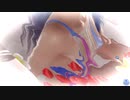 【DoaXvv/ロベリア】フラワーバス入浴/トワイライトフィッシュ