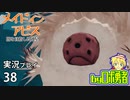 タマウガチ！ロボ勇者の、メイドインアビス闇を目指した連星を実況探窟38【VTuber】