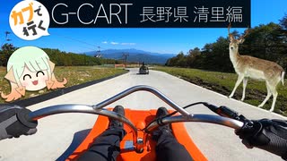 【ゆっくり車載】時速30kmで駆け降りるマ〇オカート楽しすぎ【ハンターカブ】