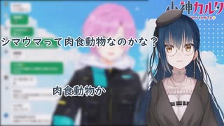 山神カルタ「シマウマって肉食動物なのかな？肉食動物か」[山神カルタ/夕陽リリ/みらるた/にじさんじ/切り抜き]