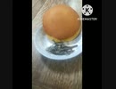 どら焼にいそ松葉あうよどら焼って吸血鬼それはドラキュラ