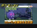 ポケモンＳＶ　コンパンを捕まえる方法！出現場所は？図鑑No.２５６　ポケモン図鑑を埋めよう！　【スカーレット・バイオレット】