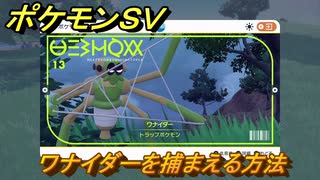 ポケモンＳＶ　ワナイダーを捕まえる方法！出現場所は？図鑑No.１３　ポケモン図鑑を埋めよう！　【スカーレット・バイオレット】