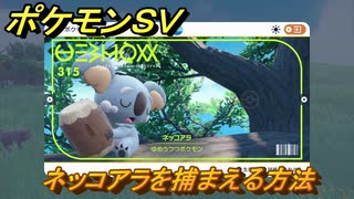 ポケモンＳＶ　ネッコアラを捕まえる方法！出現場所は？図鑑No.３１５　ポケモン図鑑を埋めよう！　【スカーレット・バイオレット】