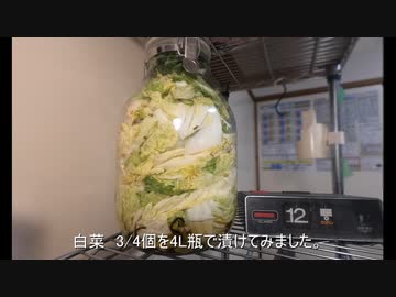 白菜の一夜漬けを作ってみた