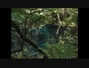 【NNIオリジナル】Asian Meditation
