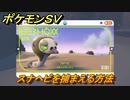 ポケモンＳＶ　スナヘビを捕まえる方法！出現場所は？図鑑No.２７０　ポケモン図鑑を埋めよう！　【スカーレット・バイオレット】