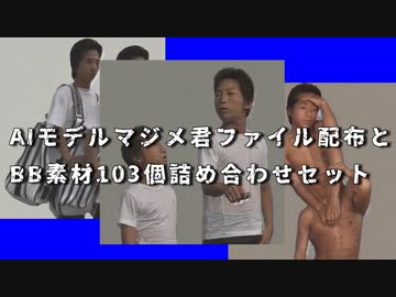 AIマジメ君モデルファイル配布と103種の静止画BB配布.SD