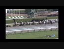 2022/12/10 阪神1R 2歳未勝利 ヨリノサファイヤ