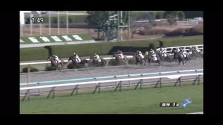 2022/12/10 阪神1R 2歳未勝利 ヨリノサファイヤ