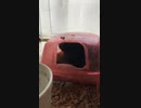クロクマ13