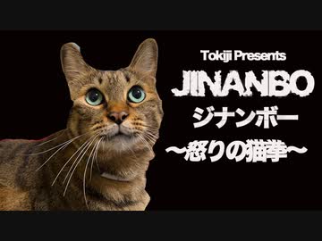 【猫】ジナンボー　ー怒りの猫拳ー　'JINANBO'