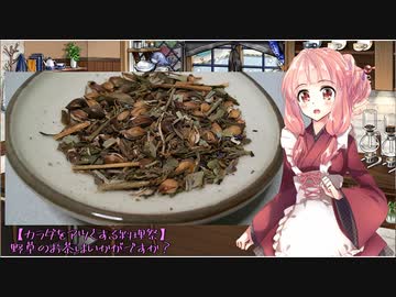 【カラダをアツくする料理祭】野草のお茶はいかがですか？