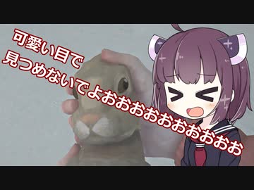 きりたん、遭難したん？【The long dark】 part17