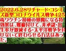 【2022年06月28日：リチャード・コシミズ  Internet 講演（ 改良版 ）】