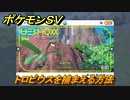ポケモンＳＶ　トロピウスを捕まえる方法！出現場所は？図鑑No.２４６　ポケモン図鑑を埋めよう！　【スカーレット・バイオレット】