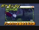 ポケモンＳＶ　ドンカラスを捕まえる方法！出現場所は？図鑑No.２３３　ポケモン図鑑を埋めよう！　【スカーレット・バイオレット】