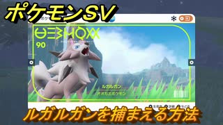 ポケモンＳＶ　ルガルガンを捕まえる方法！出現場所は？図鑑No.９０　ポケモン図鑑を埋めよう！　【スカーレット・バイオレット】