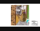 【第82回】小旅行①と荷物①と脱走猫