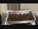 珈琲豆のガラス器具焙煎記録(20221211-1)
