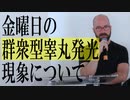金曜日の群集型睾丸発光現象について（Research for Shining Balls on Friday）