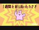 1週間を耐え抜くドコドコおしごとうさぎ