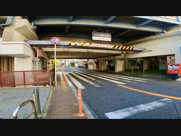 千葉県市川市市川を歩く【今度こそ市川市編 part 3】【散歩210】