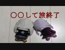 【ぬいぐるみ車載】ぬいぬい紅葉巡り～近畿地方