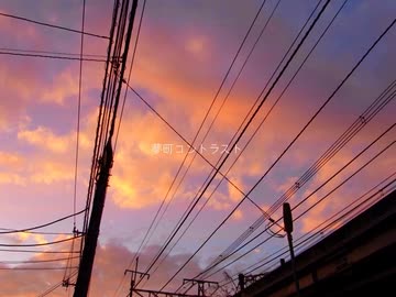 夢町コントラスト / せな【歌ってみた】