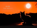 迷い猫 feat.初音ミク