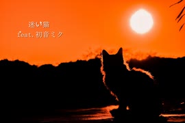 迷い猫 feat.初音ミク