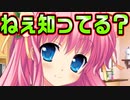 【魔法使い向け】#5　クロックマダムとは何ぞや【妹ぱらだいす！2】