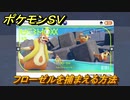 ポケモンＳＶ　フローゼルを捕まえる方法！出現場所は？図鑑No.５２　ポケモン図鑑を埋めよう！　【スカーレット・バイオレット】