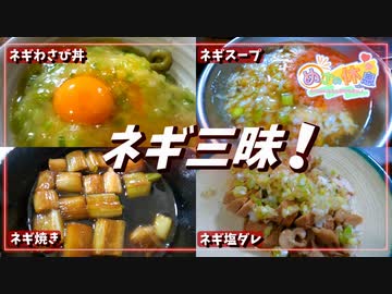 【ネギの暴力】ネギが主役のネギ祭り！