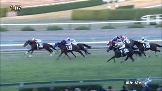 カフジテトラゴン　阪神・3歳以上2勝クラス　2022年12月10日